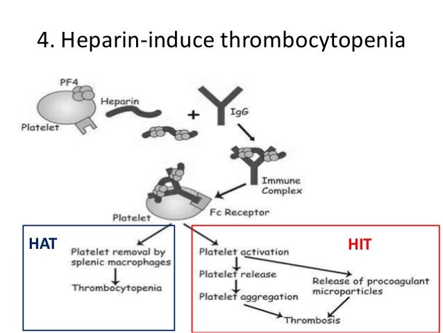 Ciprofloxacin (Generic Drug) List of Brand/ Trade Names Ciprofloxacin (Cipro) Uses, Dosage, Side Effects - m